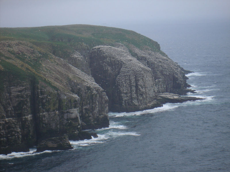 015_CapeStMary1