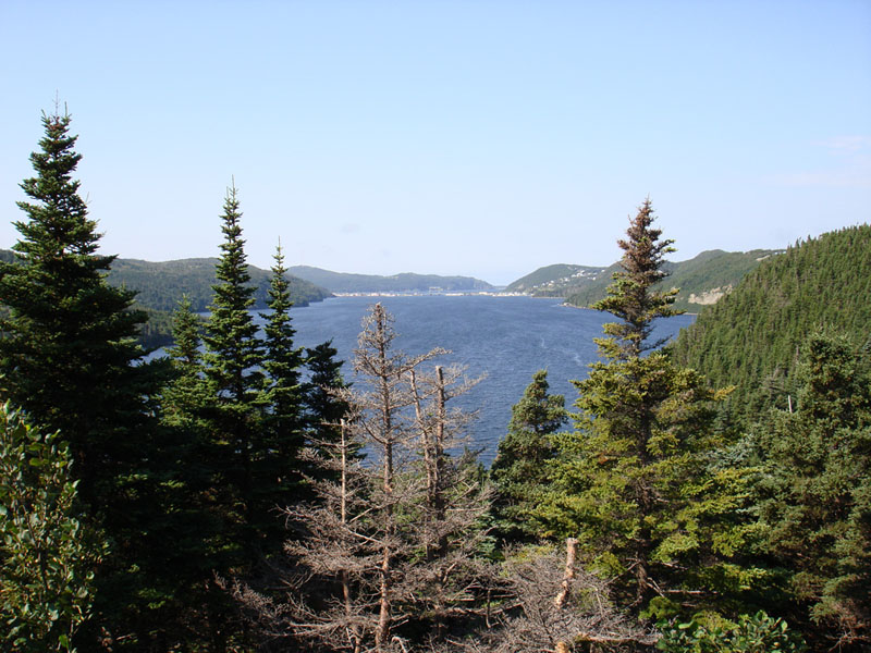 029_DopoPlacentia3