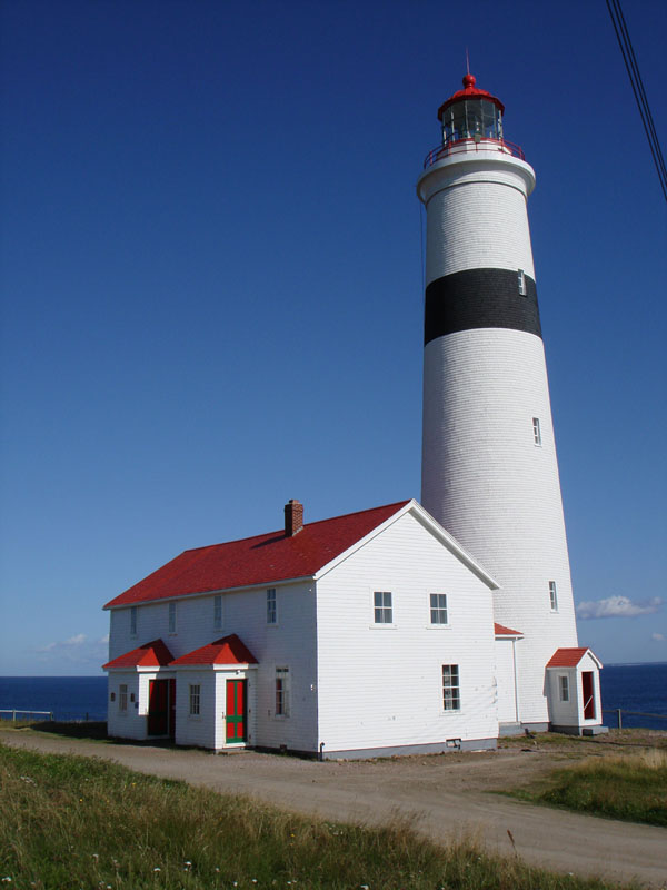 151_FaroLabrador1
