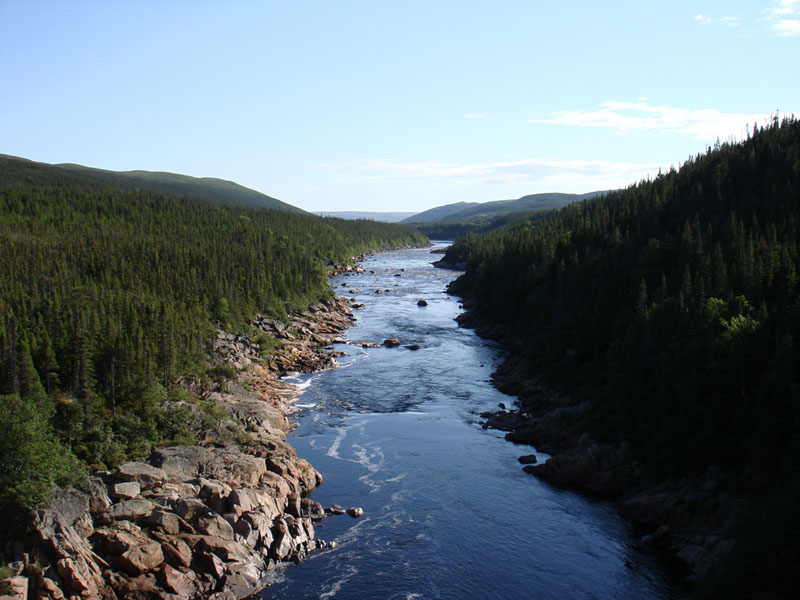 152_LabradorTorrente1