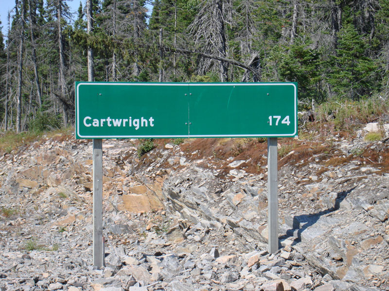 168_LabradorCartwrightCartello