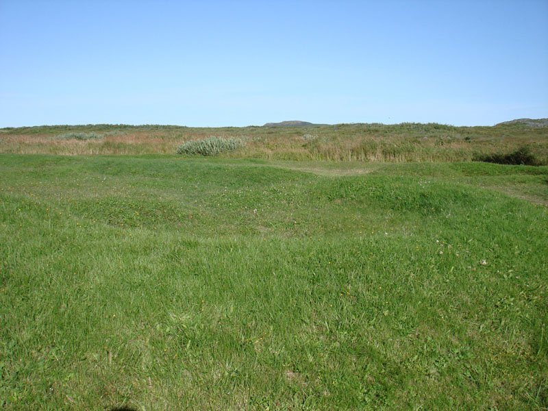192_AnseAuxMeadows8