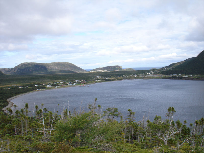 227_LarkHarbour2