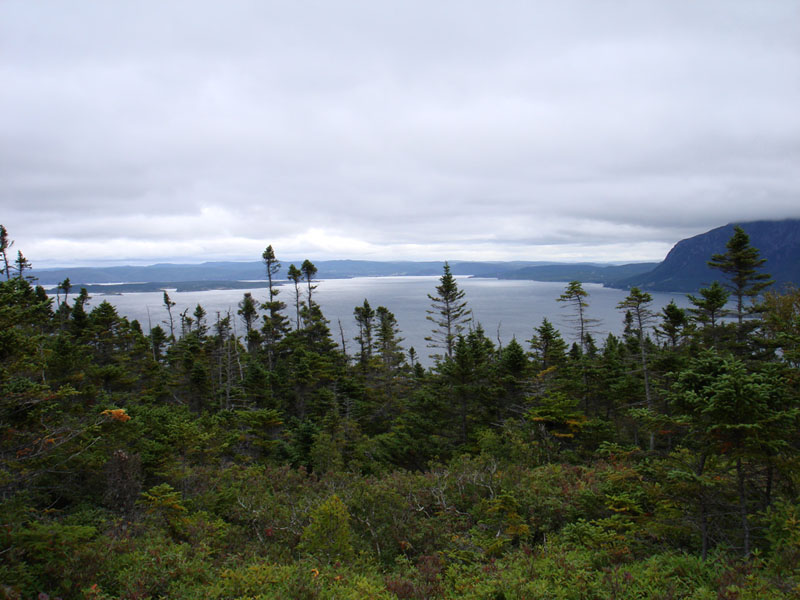 230_LarkHarbour5