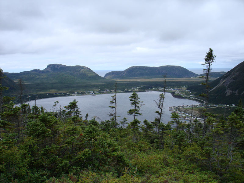 235_LarkHarbour9