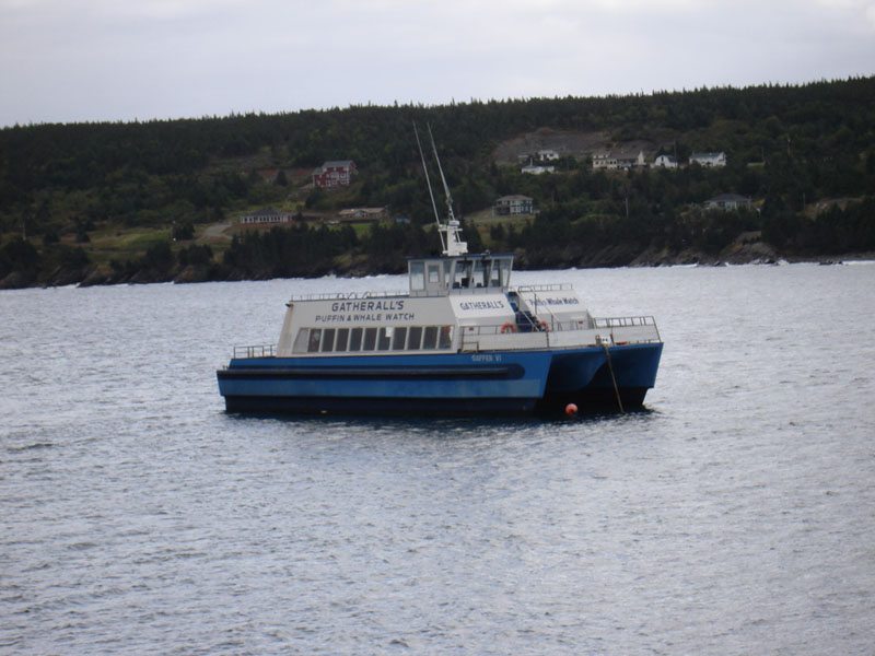 250_GatherallsWhaleWatchTour