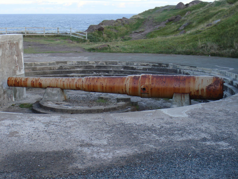 258_CapeSpearCannone