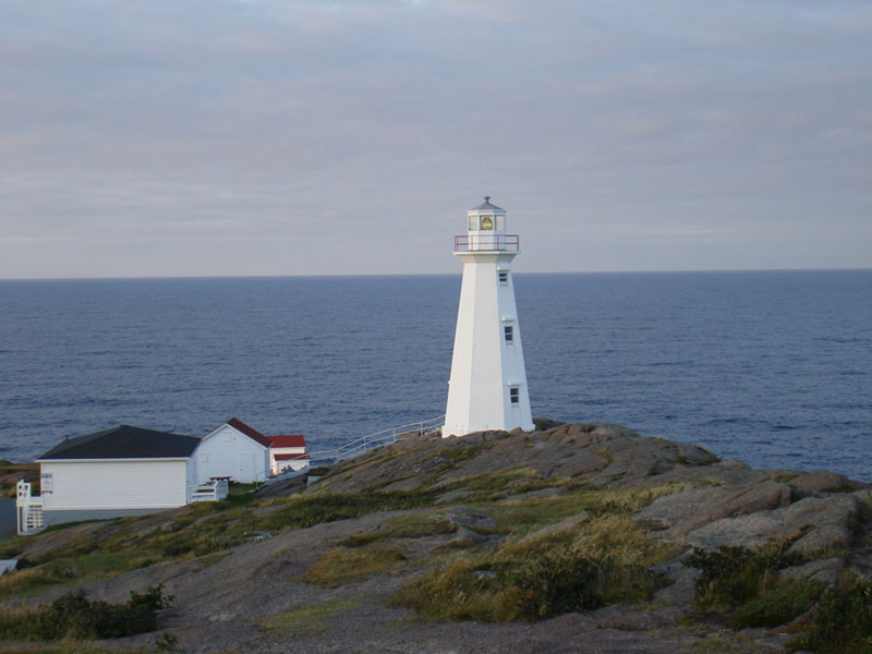 262_CapeSpearFaro5