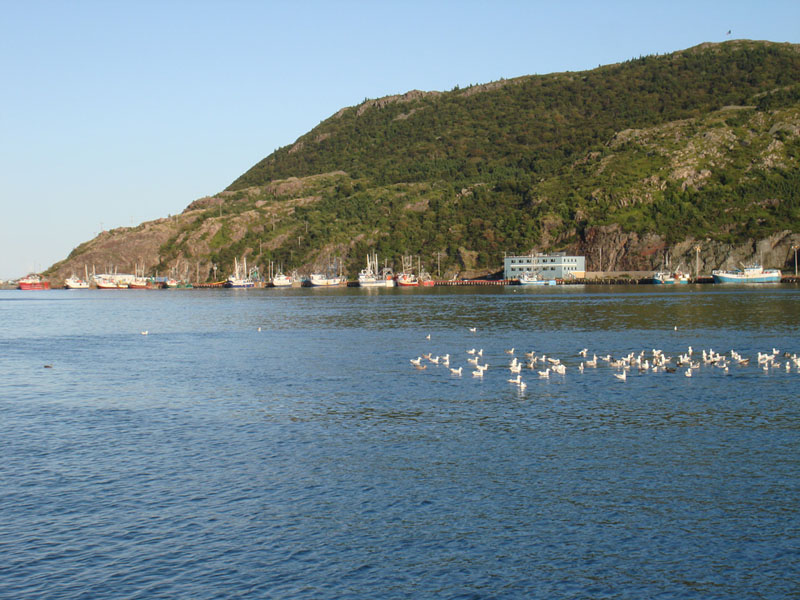 300_StJohnsPorticciolo1