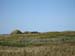 193_AnseAuxMeadows9