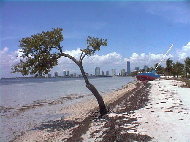 105_KeyBiscane2