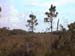 012_Everglades2