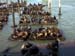 030_SanFranciscoLeoni